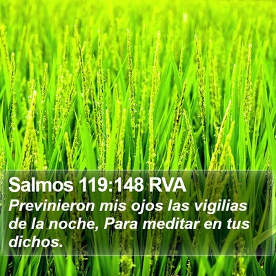 Salmos 119:148 RVA Bible Verse Image