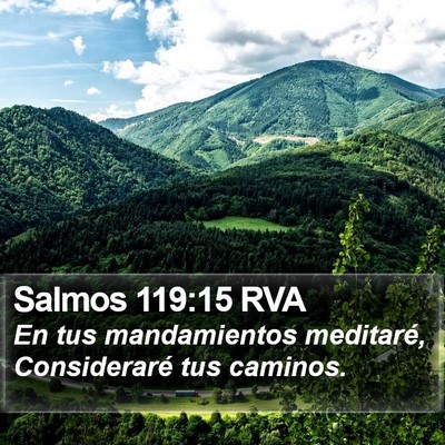 Salmos 119:15 RVA Bible Verse Image