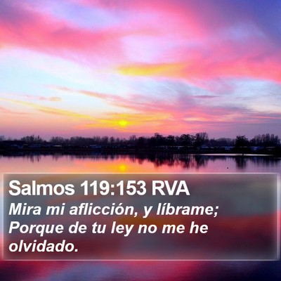 Salmos 119:153 RVA Bible Verse Image