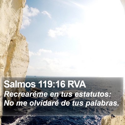 Salmos 119:16 RVA Bible Verse Image