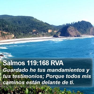 Salmos 119:168 RVA Bible Verse Image