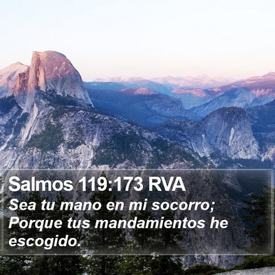 Salmos 119:173 RVA Bible Verse Image
