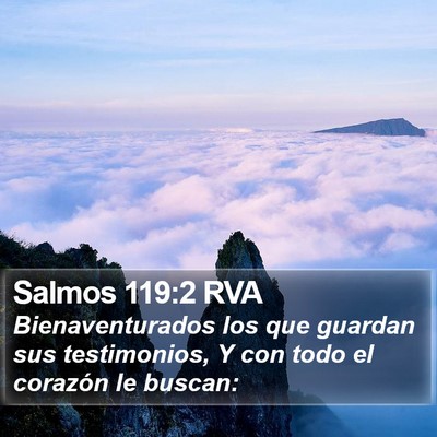 Salmos 119:2 RVA Bible Verse Image