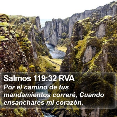 Salmos 119:32 RVA Bible Verse Image