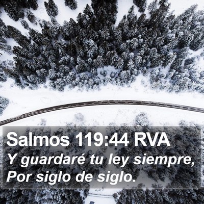Salmos 119:44 RVA Bible Verse Image