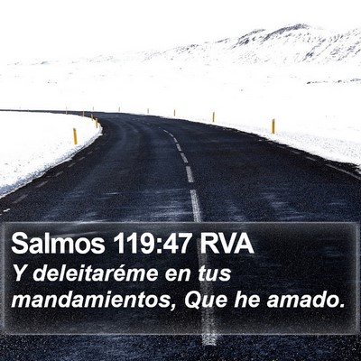 Salmos 119:47 RVA Bible Verse Image