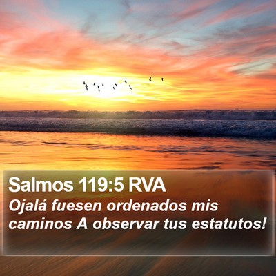 Salmos 119:5 RVA Bible Verse Image