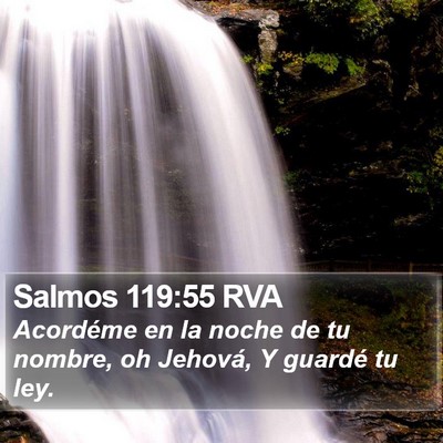 Salmos 119:55 RVA Bible Verse Image