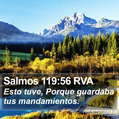 Salmos 119:56 RVA Bible Verse Image