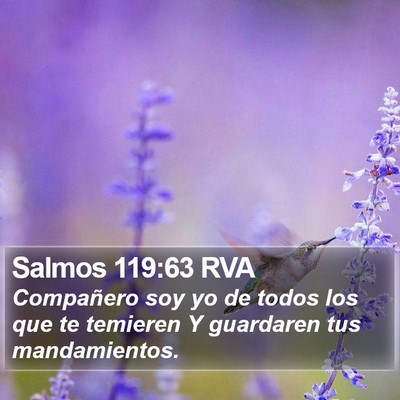 Salmos 119:63 RVA Bible Verse Image
