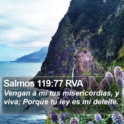 Salmos 119:77 RVA Bible Verse Image