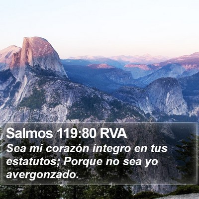 Salmos 119:80 RVA Bible Verse Image