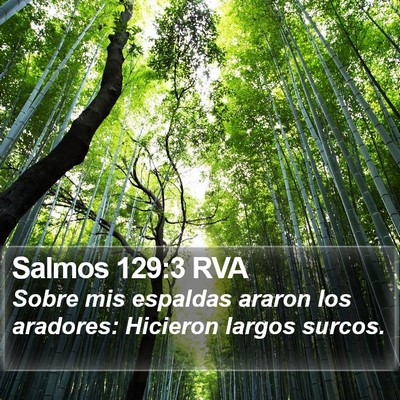 Salmos 129:3 RVA Bible Verse Image