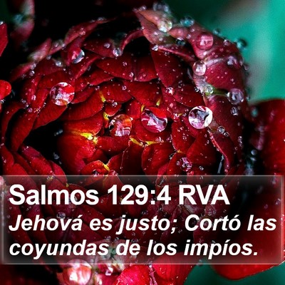 Salmos 129:4 RVA Bible Verse Image
