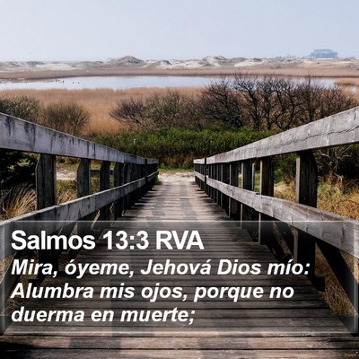 Salmos 13:3 RVA Bible Verse Image