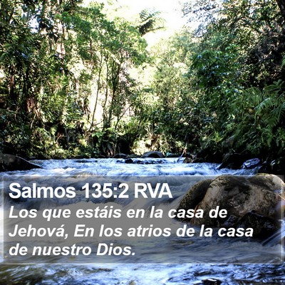Salmos 135:2 RVA Bible Verse Image