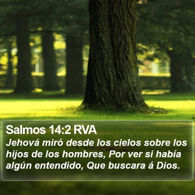 Salmos 14:2 RVA Bible Verse Image