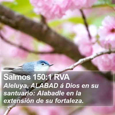 Salmos 150:1 RVA Bible Verse Image