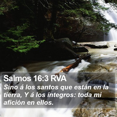 Salmos 16:3 RVA Bible Verse Image