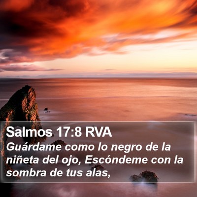 Salmos 17:8 RVA Bible Verse Image