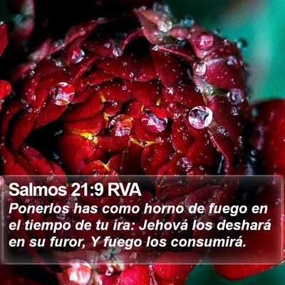 Salmos 21:9 RVA Bible Verse Image