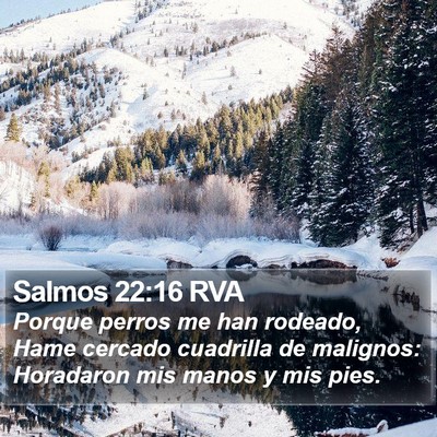 Salmos 22:16 RVA Bible Verse Image