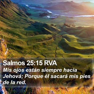 Salmos 25:15 RVA Bible Verse Image