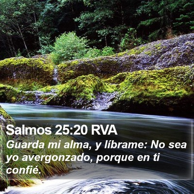 Salmos 25:20 RVA Bible Verse Image