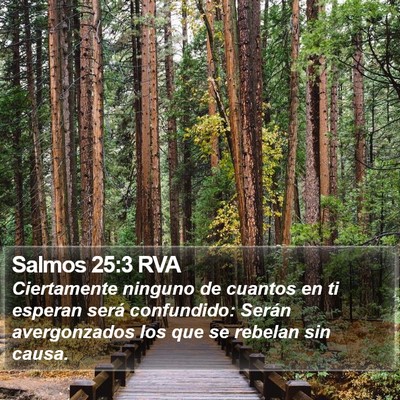 Salmos 25:3 RVA Bible Verse Image