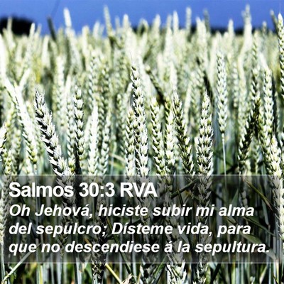 Salmos 30:3 RVA Bible Verse Image