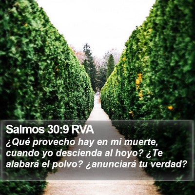 Salmos 30:9 RVA Bible Verse Image