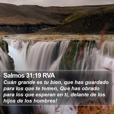 Salmos 31:19 RVA Bible Verse Image