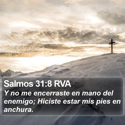 Salmos 31:8 RVA Bible Verse Image