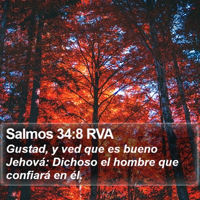 Salmos 34:8 RVA Bible Verse Image