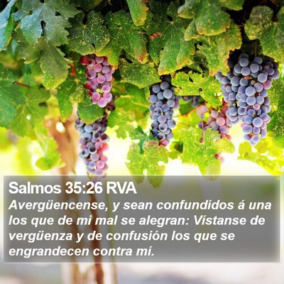 Salmos 35:26 RVA Bible Verse Image