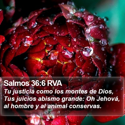 Salmos 36:6 RVA Bible Verse Image