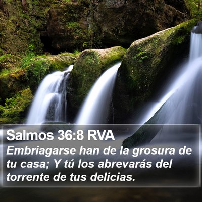 Salmos 36:8 RVA Bible Verse Image