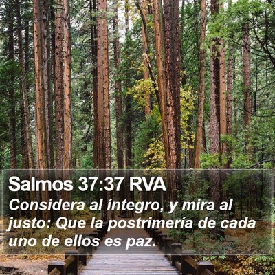 Salmos 37:37 RVA Bible Verse Image