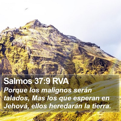 Salmos 37:9 RVA Bible Verse Image