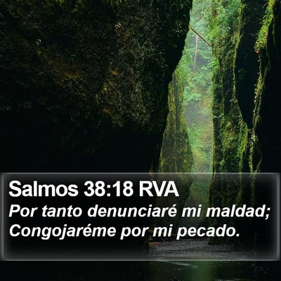 Salmos 38:18 RVA Bible Verse Image