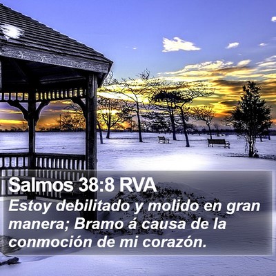 Salmos 38:8 RVA Bible Verse Image