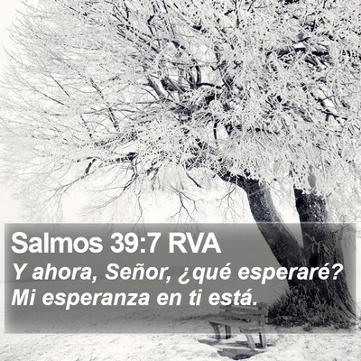 Salmos 39:7 RVA Bible Verse Image