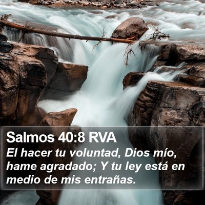 Salmos 40:8 RVA Bible Verse Image