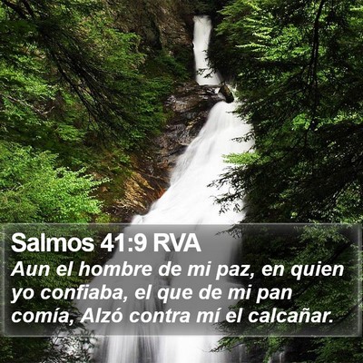 Salmos 41:9 RVA Bible Verse Image