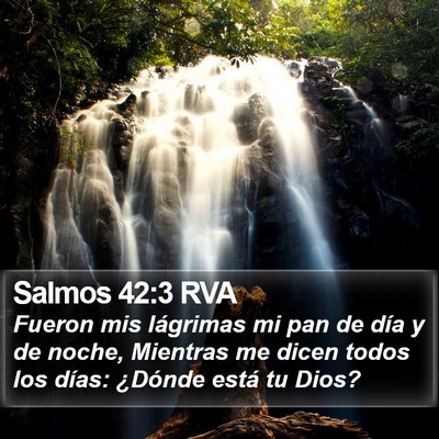 Salmos 42:3 RVA Bible Verse Image