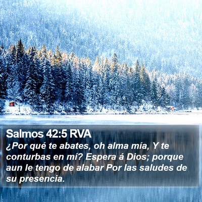 Salmos 42:5 RVA Bible Verse Image