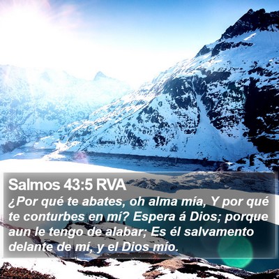 Salmos 43:5 RVA Bible Verse Image