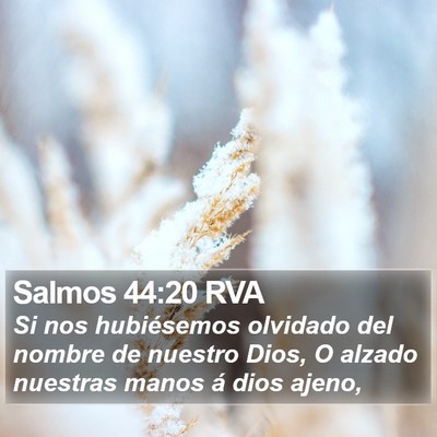 Salmos 44:20 RVA Bible Verse Image