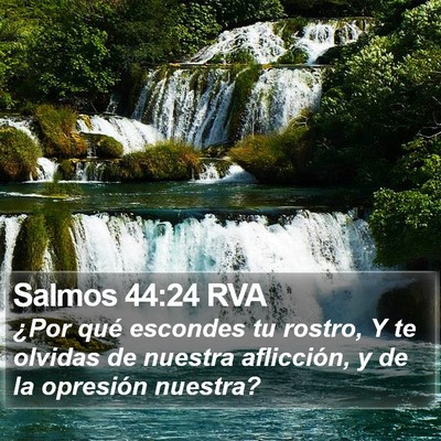 Salmos 44:24 RVA Bible Verse Image