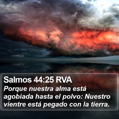 Salmos 44:25 RVA Bible Verse Image